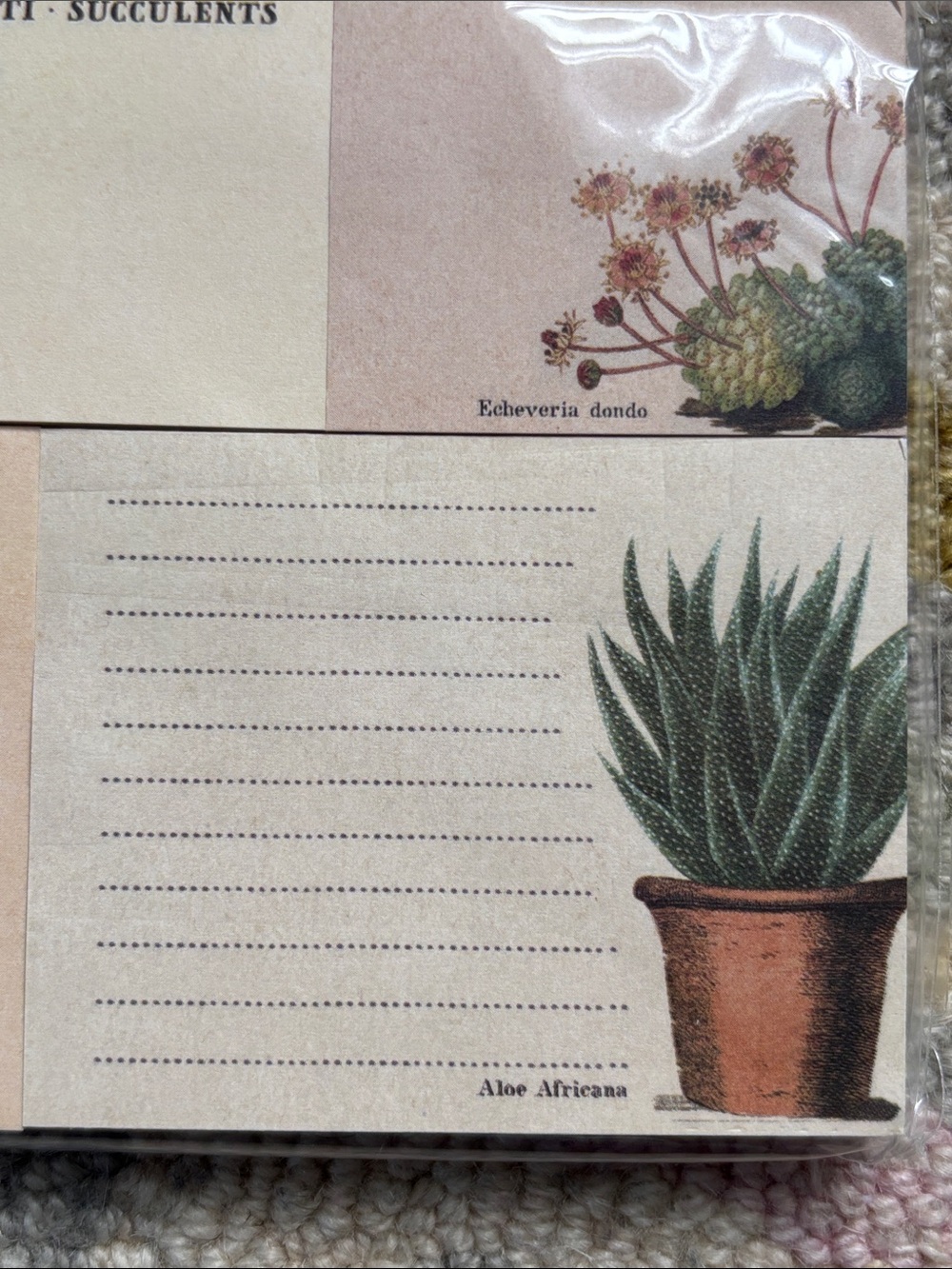 Cavallini &Co. Sticky Notes Succulents NWT 300 count 5 separate sticky note pads - Picture 8 of 16